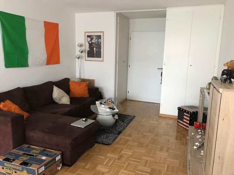 Beautiful and bright 2-room apartment (2)