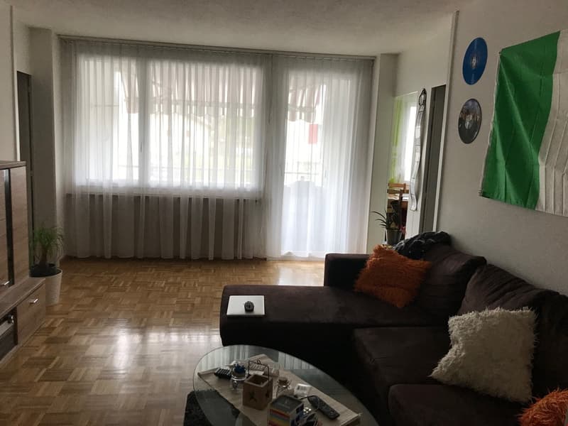 Beautiful and bright 2-room apartment (3)