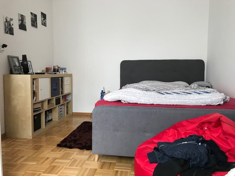 Beautiful and bright 2-room apartment (4)