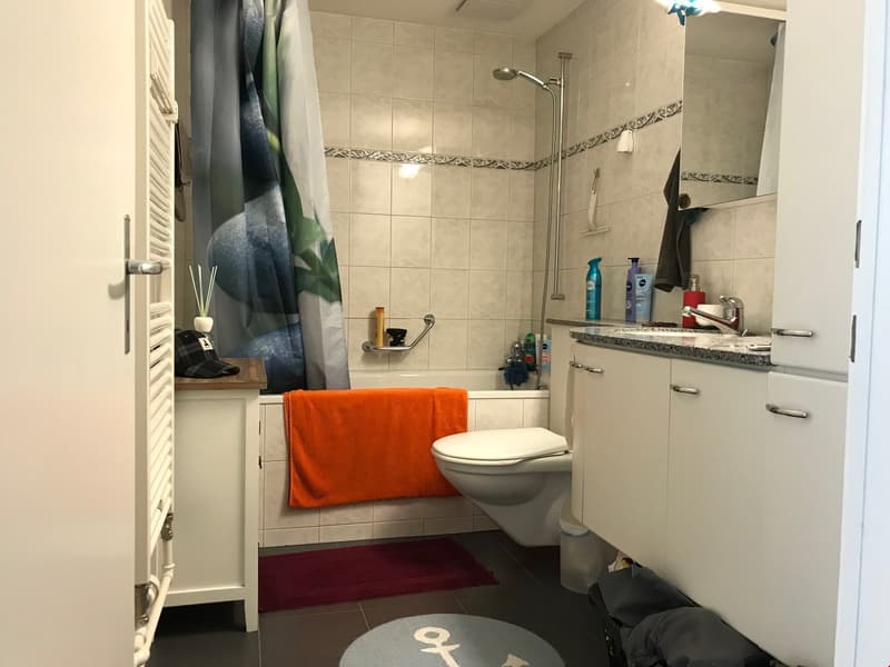 Beautiful and bright 2-room apartment (5)