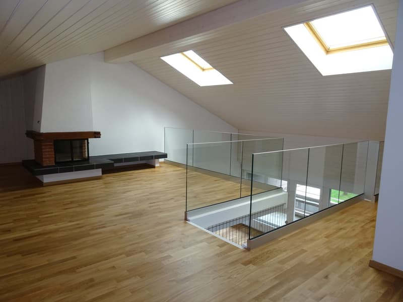 Appartamento galleria moderno 4.5 locali con lavanderia privata (18)