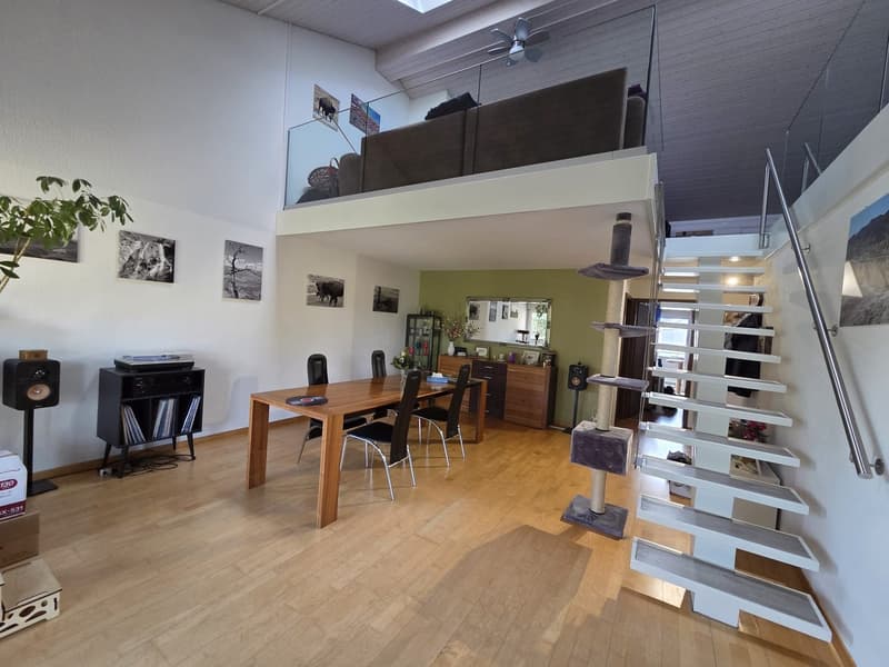 Grand appartement 3.5 pièces avec galerie supplémentaire et buanderie privée (1)