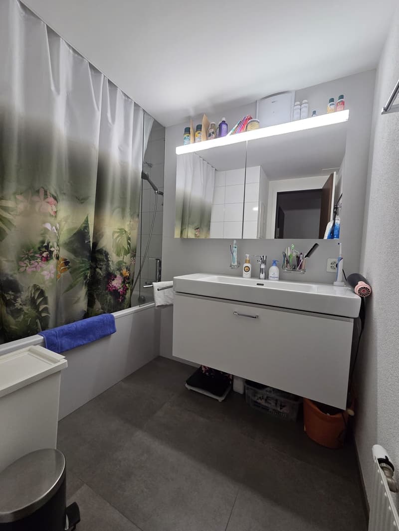 Grand appartement 3.5 pièces avec galerie supplémentaire et buanderie privée (7)