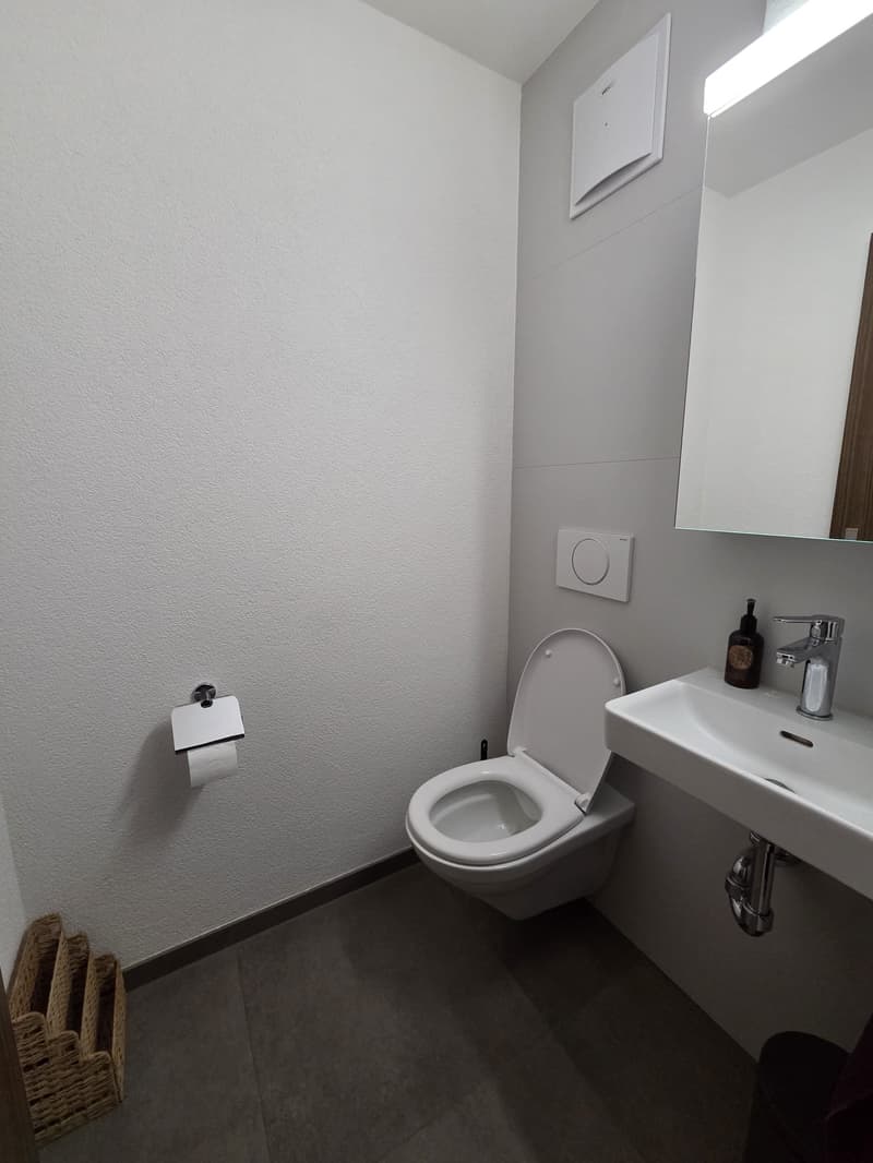 Grand appartement 3.5 pièces avec galerie supplémentaire et buanderie privée (8)