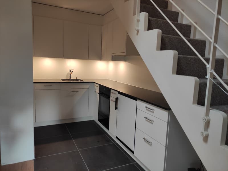 Appartement Duplex Exclusif (2)