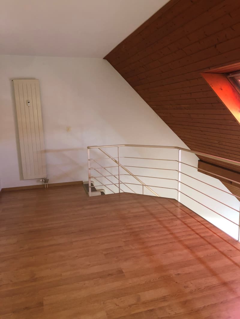 Appartement Duplex Exclusif (8)
