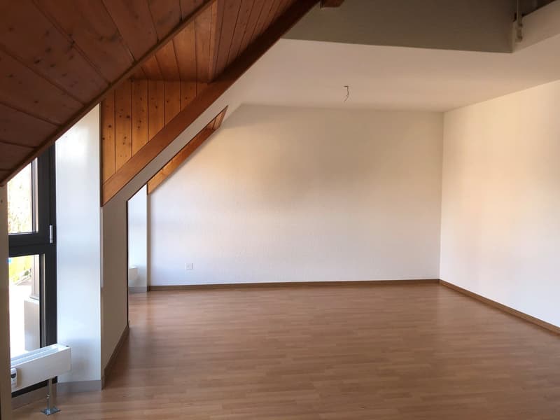 Appartement Duplex Exclusif (6)