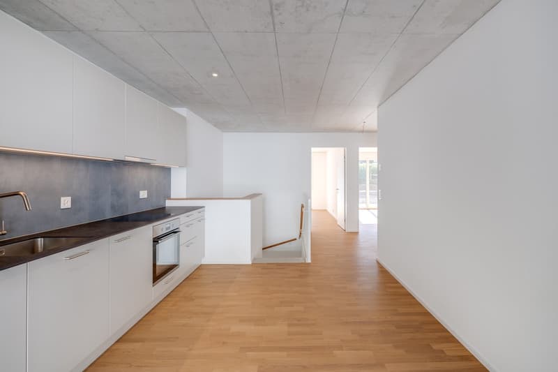 Der Falke ruft: Willkommen im neuen Zuhause! (2)