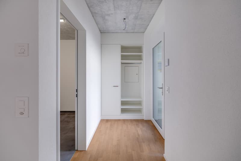 Der Falke ruft: Willkommen im neuen Zuhause! (12)