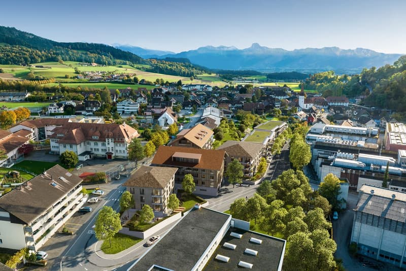 Der Falke ruft: Willkommen im neuen Zuhause! (1)