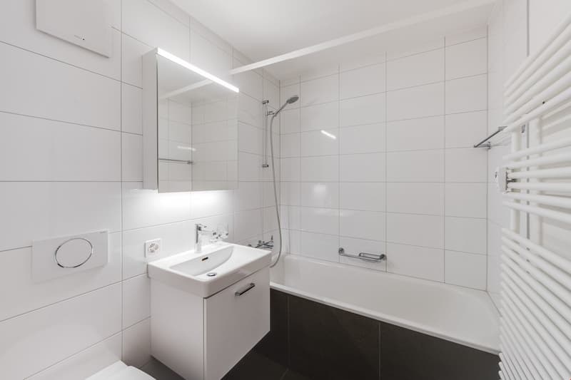 ein neues Zuhause für Sie (8)
