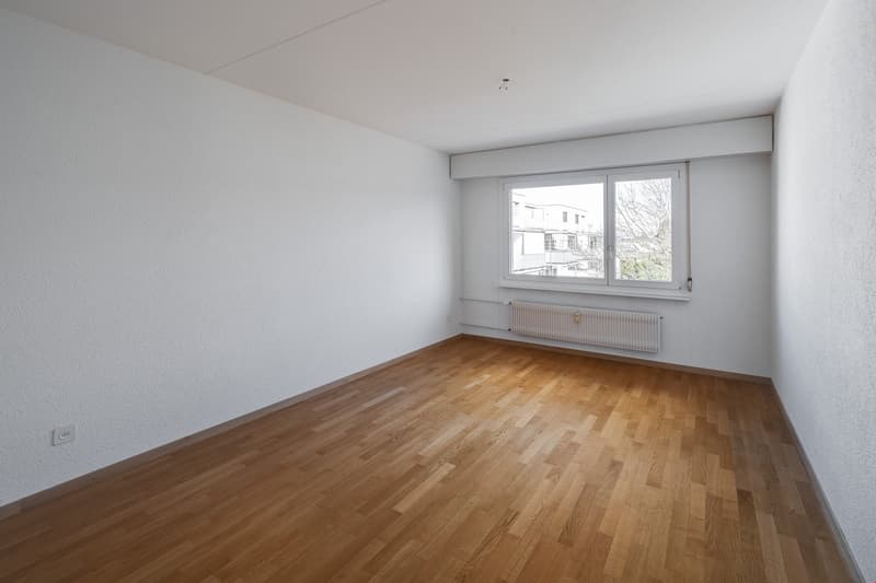 ein neues Zuhause für Sie (6)