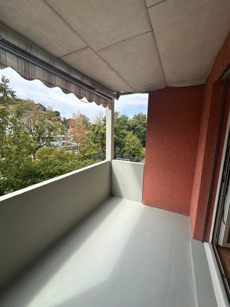 Grosse 3.5-Zimmer-Wohnung mit Balkon (12)