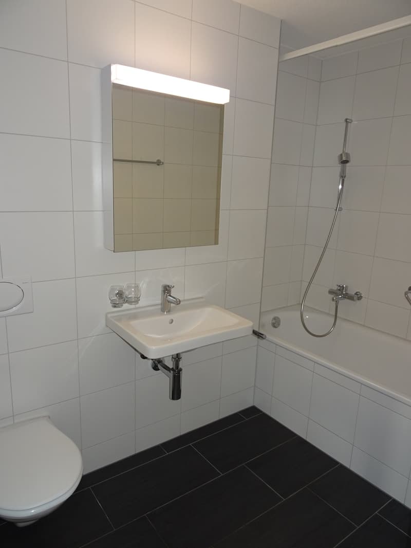 Schöne 2.5-Zimmerwohnung im 3. OG (5)