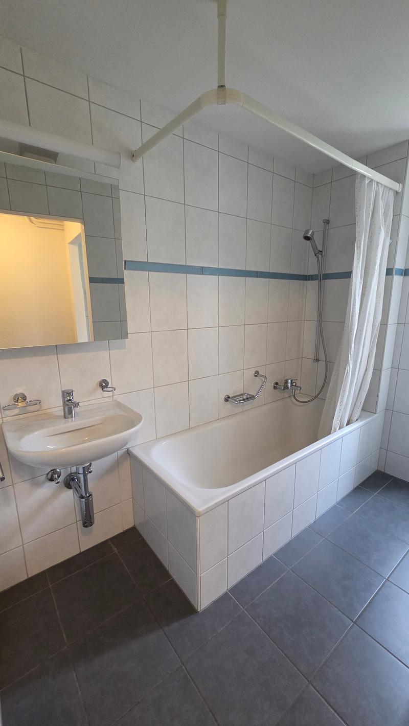 appartement rénové de 3,5 pièces (8)