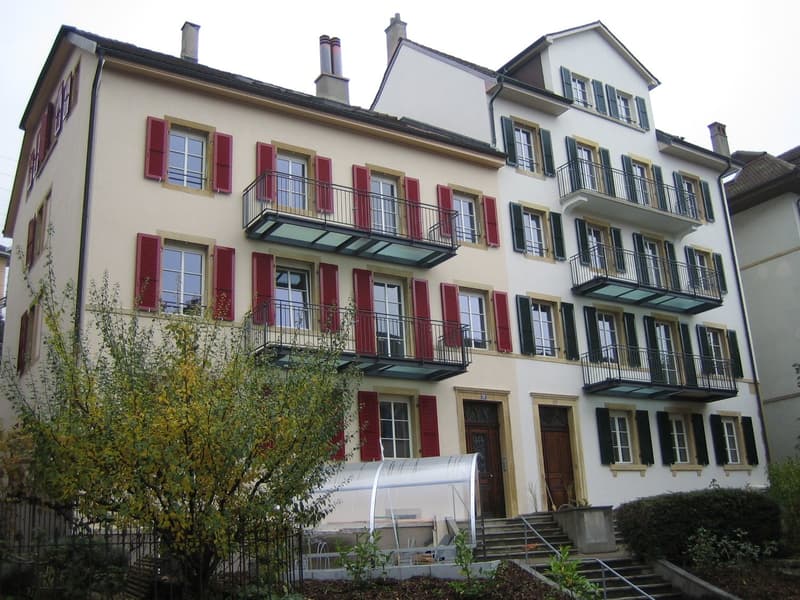 appartement rénové de 3,5 pièces (9)