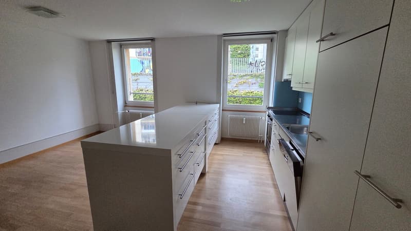 appartement rénové de 3,5 pièces (6)