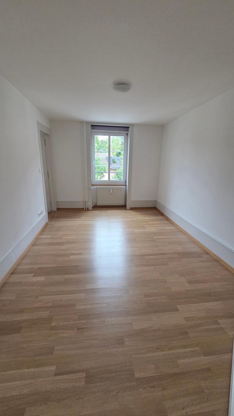appartement rénové de 3,5 pièces (2)