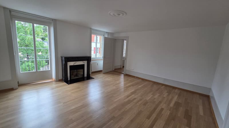 appartement rénové de 3,5 pièces (3)
