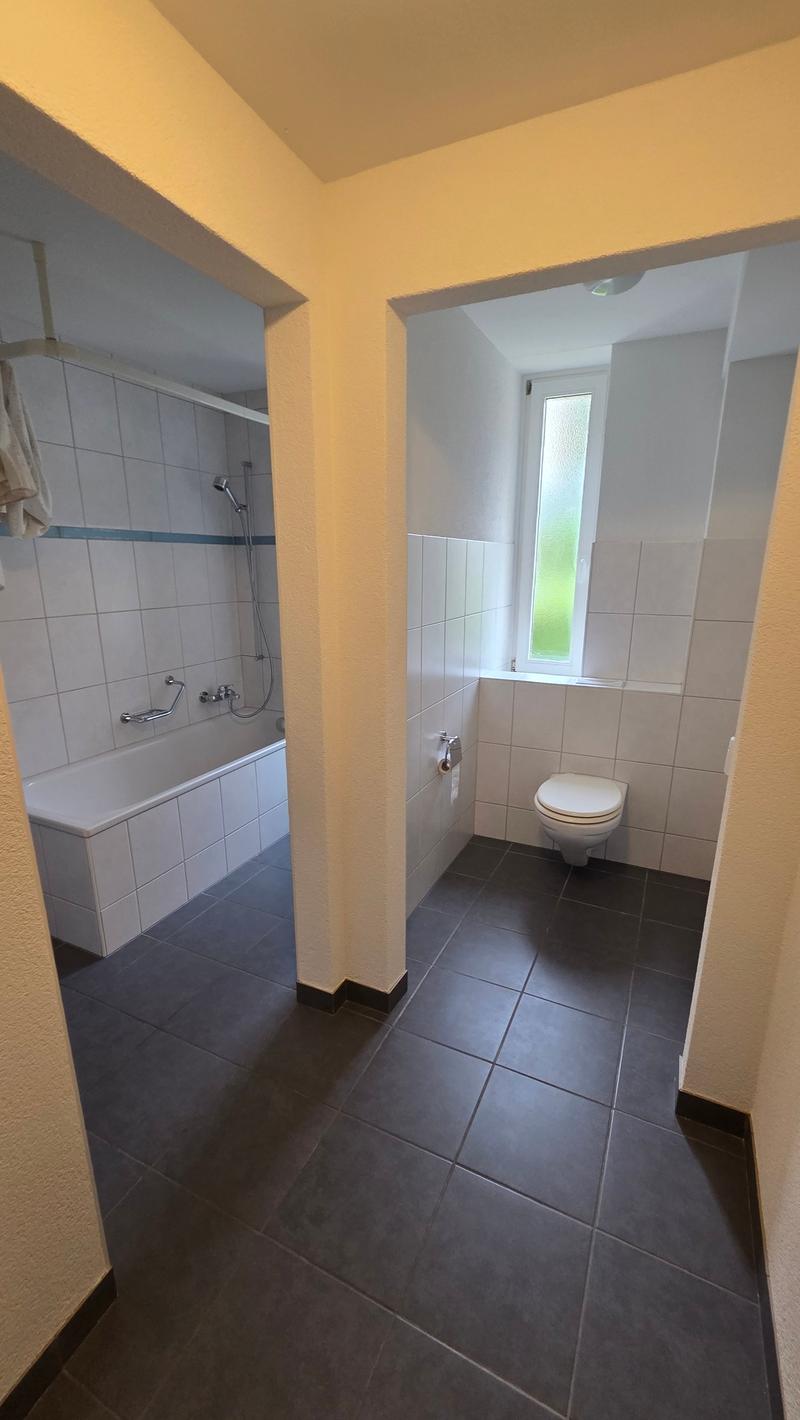 appartement rénové de 3,5 pièces (7)