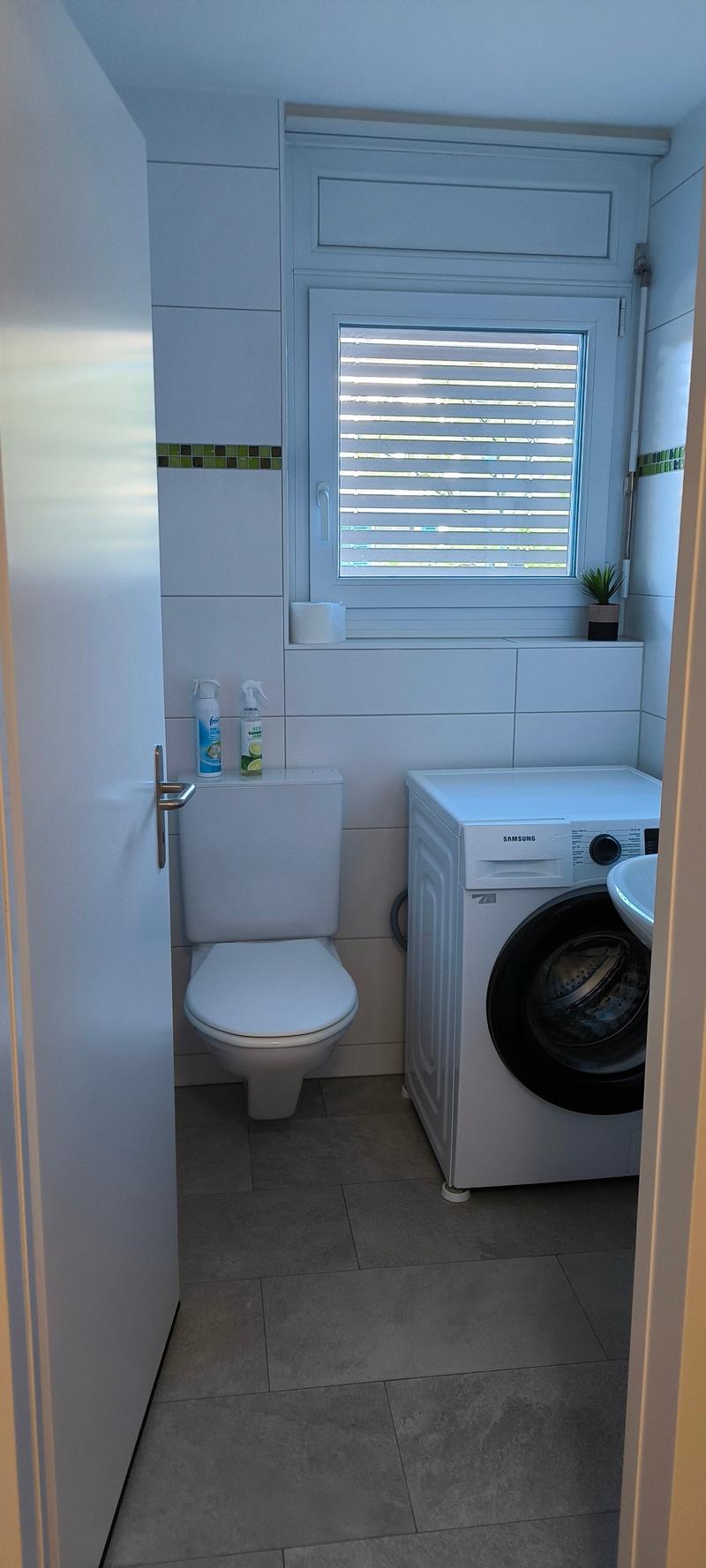 modernisierte 4.5-Zimmerwohnung in ruhigem Quartier (4)