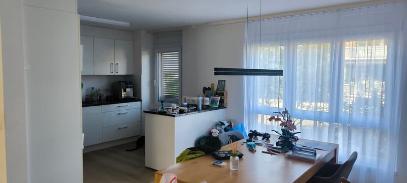modernisierte 4.5-Zimmerwohnung in ruhigem Quartier (1)