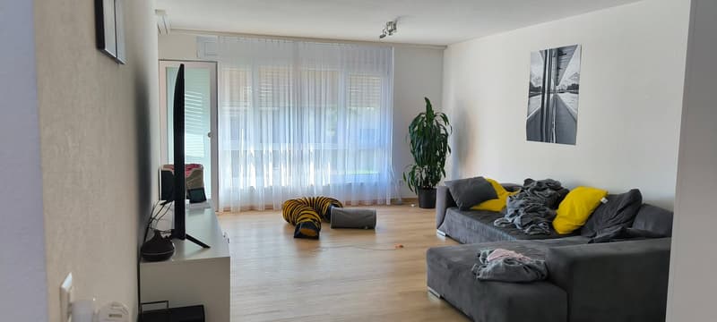 modernisierte 4.5-Zimmerwohnung in ruhigem Quartier (3)