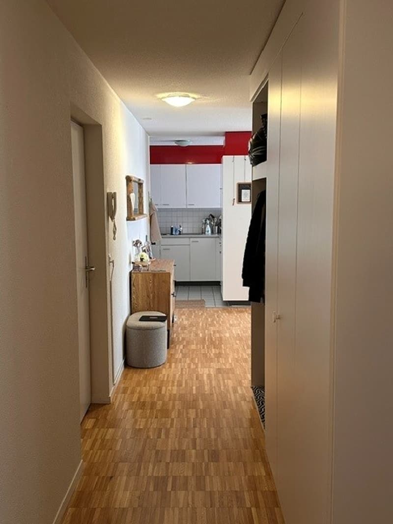 Geräumige 3.5-Zimmerwohnung zu vermieten (4)