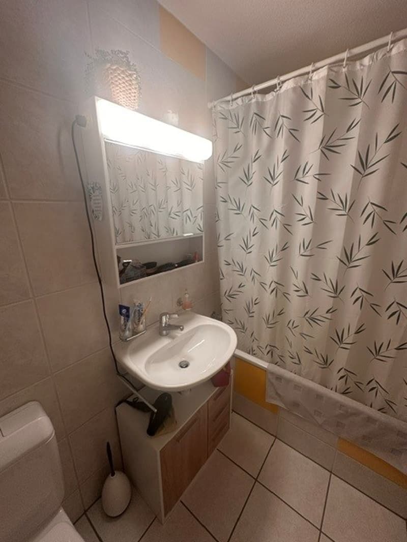 Geräumige 3.5-Zimmerwohnung zu vermieten (12)