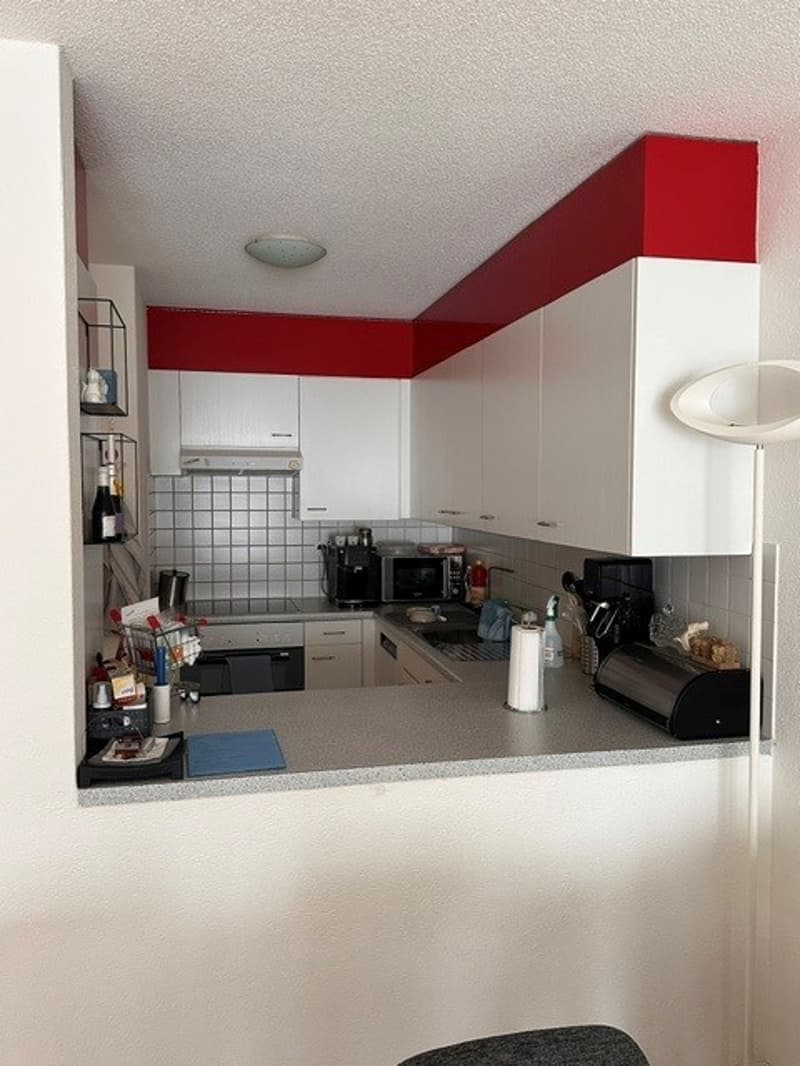 Geräumige 3.5-Zimmerwohnung zu vermieten (6)