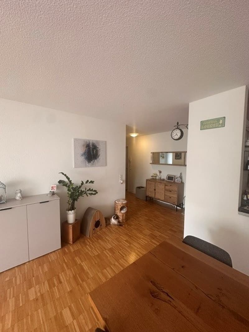 Geräumige 3.5-Zimmerwohnung zu vermieten (2)