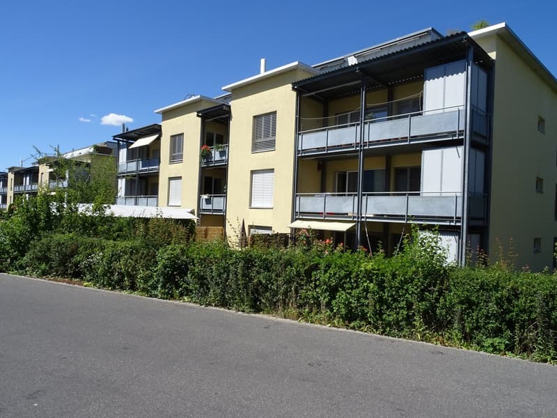 Geräumige 3.5-Zimmerwohnung zu vermieten (1)