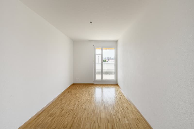 Attraktive, helle Attika-Wohnung mit Schwimmteichnutzung und grosser Terrasse 36m2 (9)