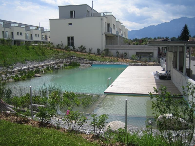 Schwimmteich