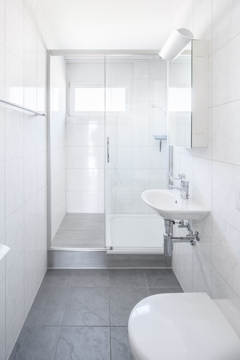 Attraktive, helle Attika-Wohnung mit Schwimmteichnutzung und grosser Terrasse 36m2 (7)