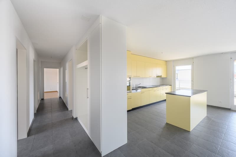Attraktive, helle Attika-Wohnung mit Schwimmteichnutzung und grosser Terrasse 36m2 (3)