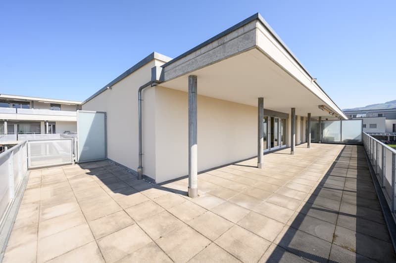 Attraktive, helle Attika-Wohnung mit Schwimmteichnutzung und grosser Terrasse 36m2 (1)