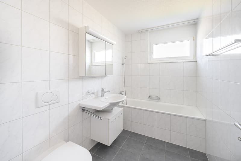 Attraktive, helle Attika-Wohnung mit Schwimmteichnutzung und grosser Terrasse 36m2 (6)