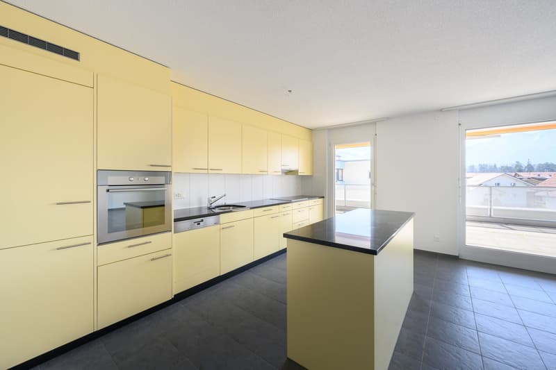 Attraktive, helle Attika-Wohnung mit Schwimmteichnutzung und grosser Terrasse 36m2 (4)