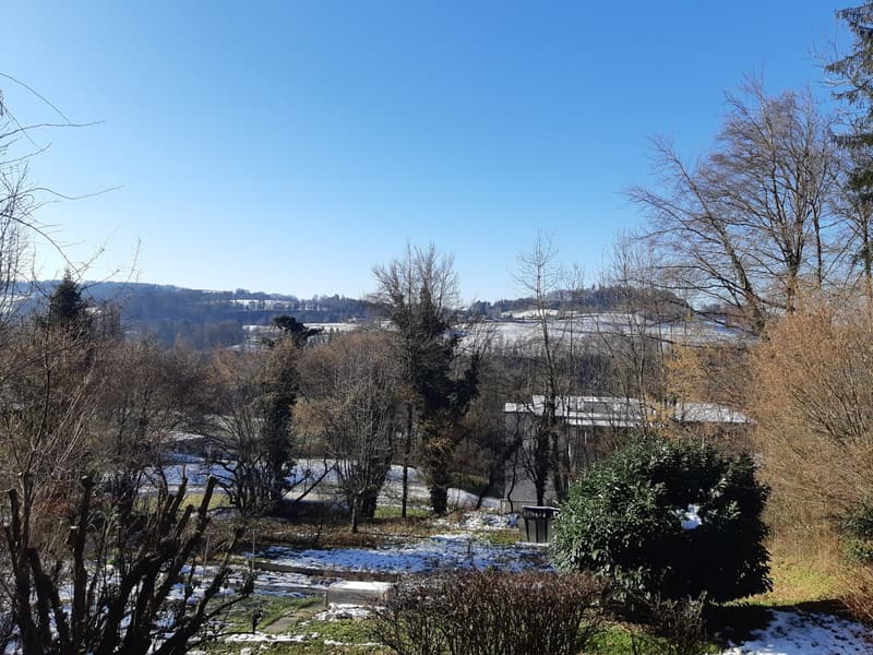 grosszügige 2.5-Zimmerwohnung mit Gartensitzplatz (8)