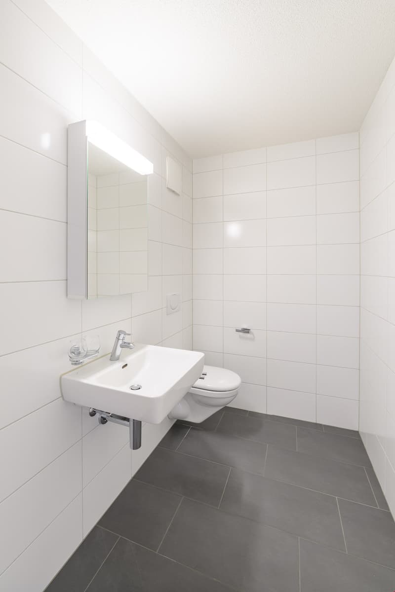 Topmoderne 3.5-Zimmerwohnung (7)