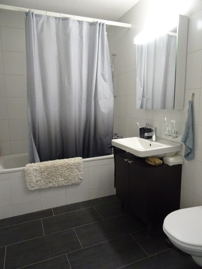 Schöne 3.5-Zimmerwohnung (5)