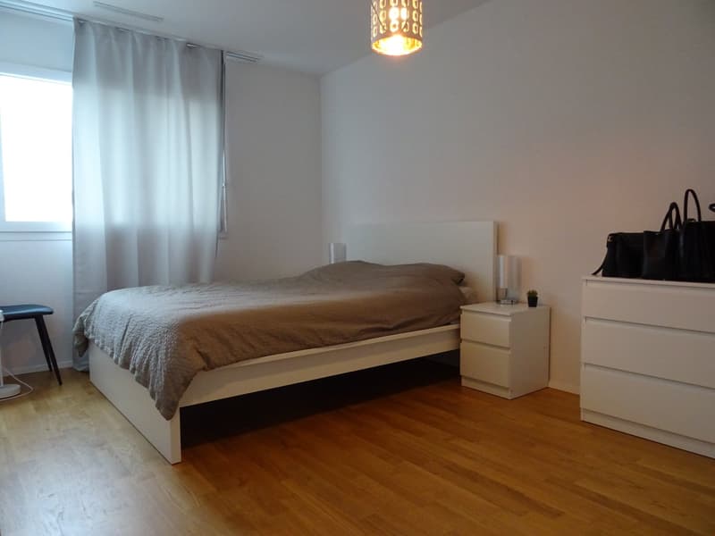 Schöne 3.5-Zimmerwohnung (3)