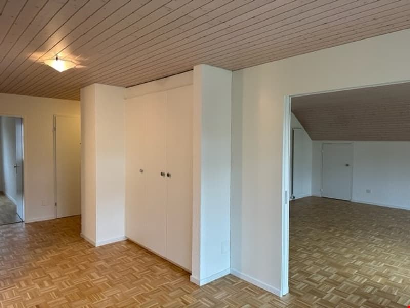 4-Zimmer-Dachwohnung (9)