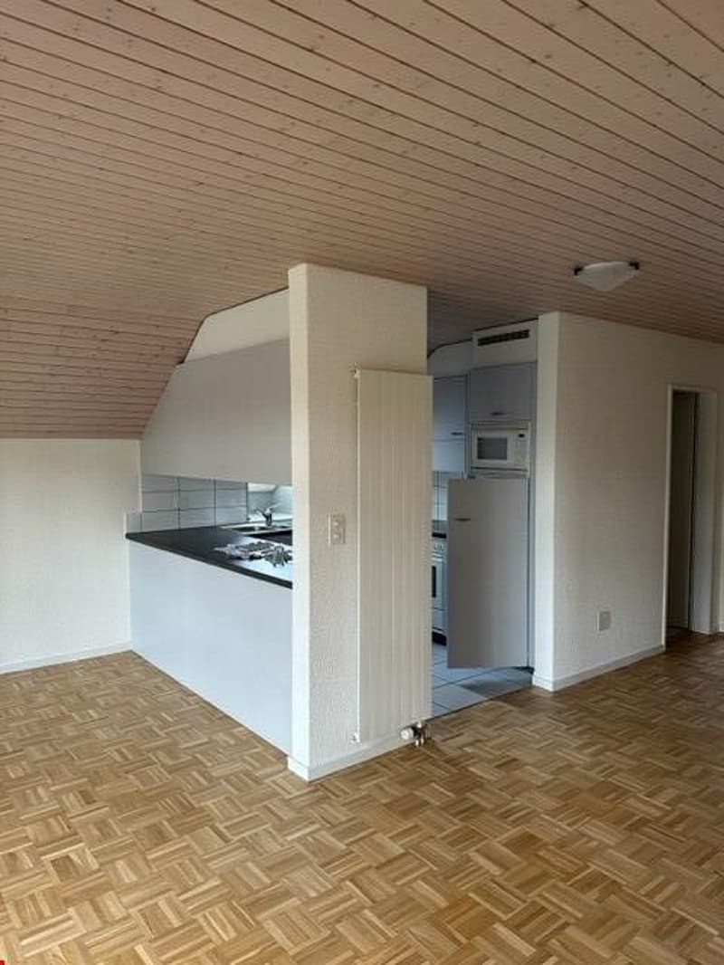 4-Zimmer-Dachwohnung (8)