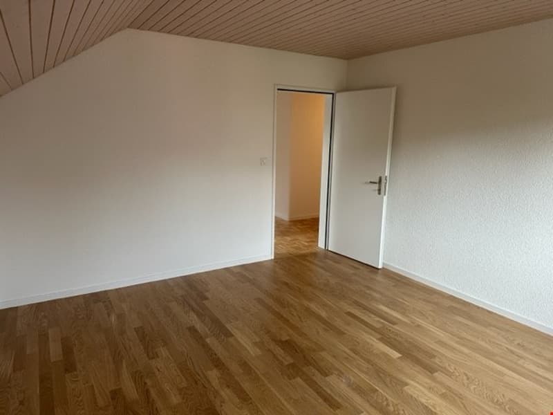 4-Zimmer-Dachwohnung (14)