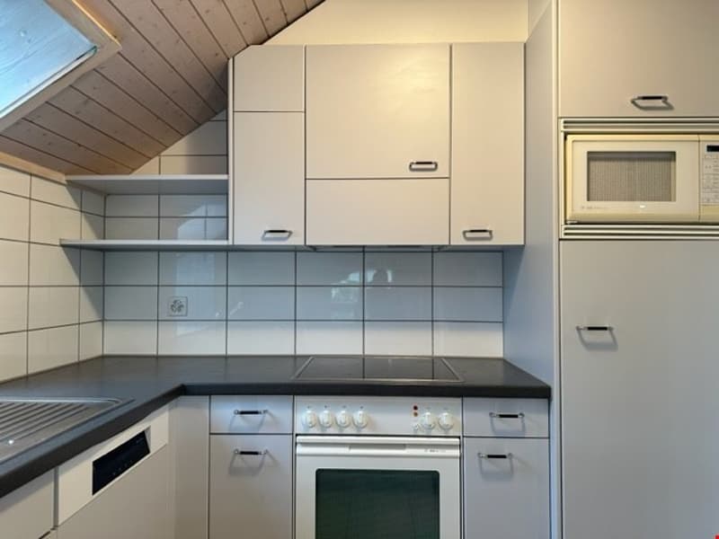 4-Zimmer-Dachwohnung (3)
