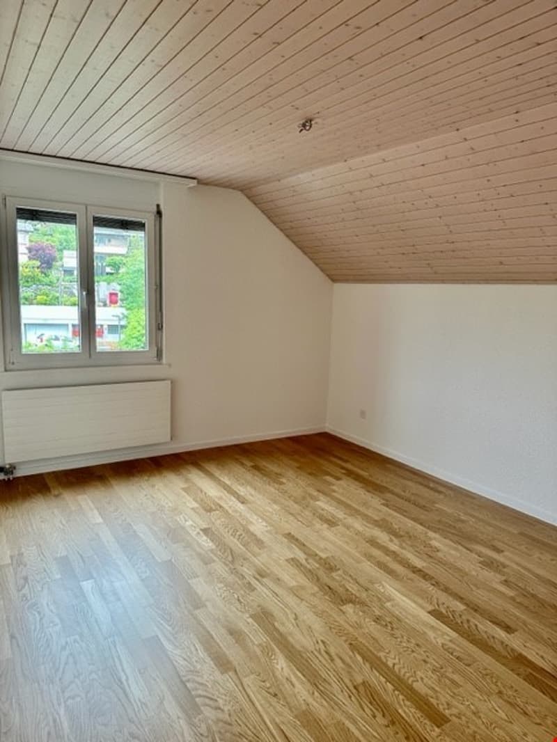4-Zimmer-Dachwohnung (15)