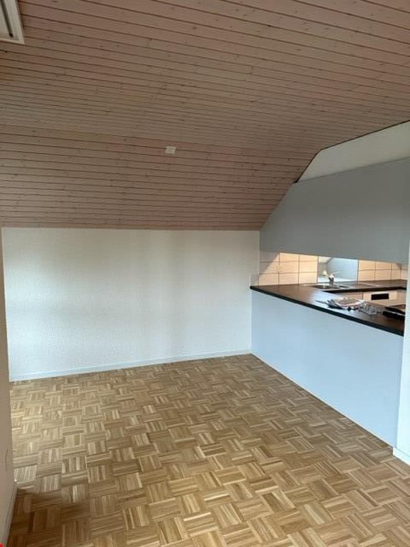 4-Zimmer-Dachwohnung (5)