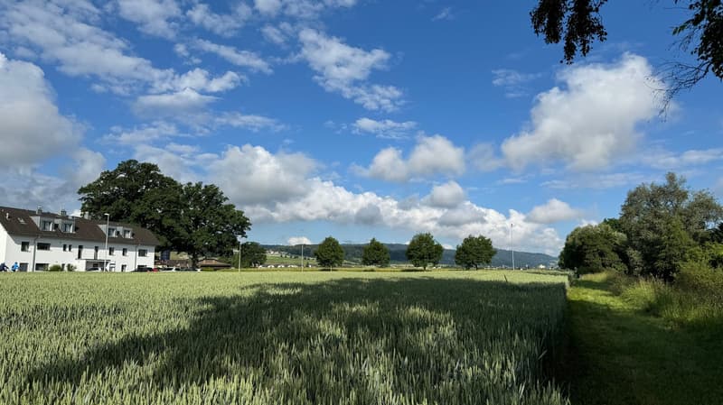 Annonce de projet - Nouveau bâtiment WALTPARK (9)
